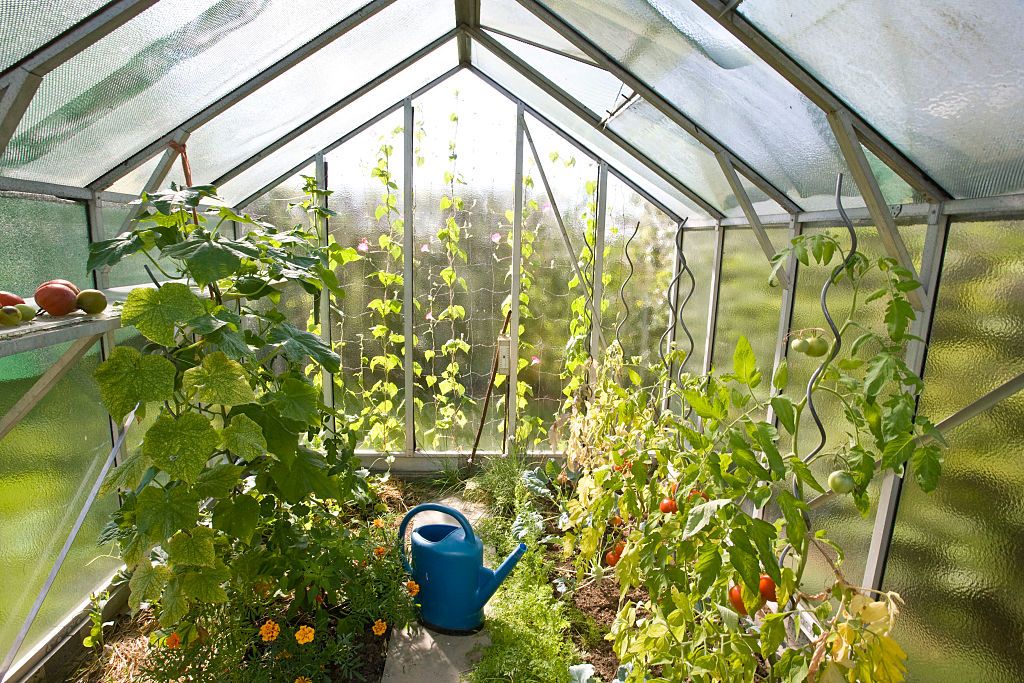 making money with a small greenhouse